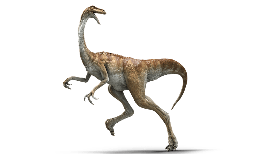 Deinocheirus, Jurassic Park Wiki