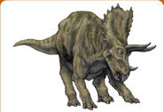 JPI Triceratops 1