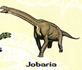 Jobaria.png (50 KB) Jobaria in the Dinosaur Field Guide.