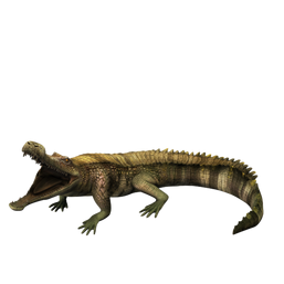 Sarcosuchus