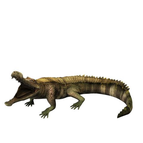 Sarcosuchus | Jurassic Park Wiki | Fandom