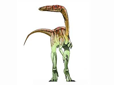 Segisaurus