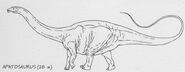 Apatosaurus drawing