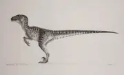 Concept art du  par . Dessiné pour la première fois en 1991, cela servirait de conception pour le Velociraptor du .