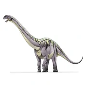 Klamelisaurus