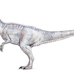 Indominus Rex Galeria Jurassic Park Wiki Fandom Jurassic park /world on instagram: indominus rex galeria jurassic park
