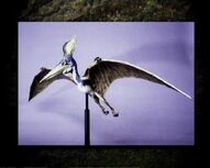 Pteranodonmodel1fk