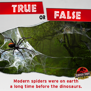 True or False spiders been around before dinosaurs