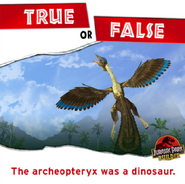 Archaeopteryx true or false JPB