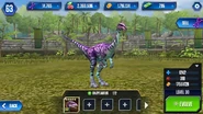 Level 30