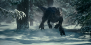 Blue in the snow extended cut
