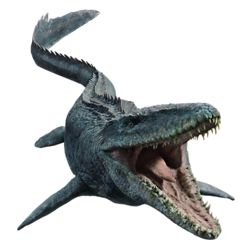 Mosasaurus (2)