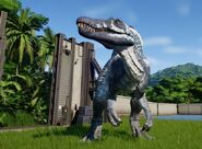 Rainforestspino.jpg (63 KB)