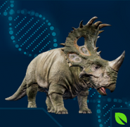 Sinoceratops jwe