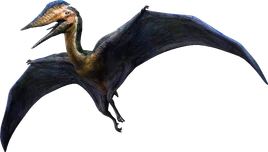 JWA PressKit Hatzegoteryx2