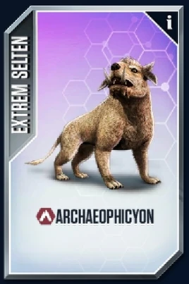 Archaeophicyon