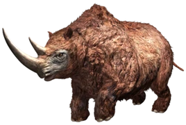 JWA PressKit Woolly Rhino