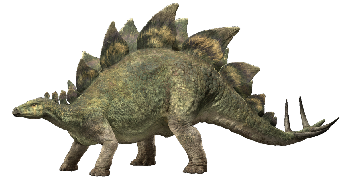 Stegosaurus | Jurassic Park Wiki | Fandom