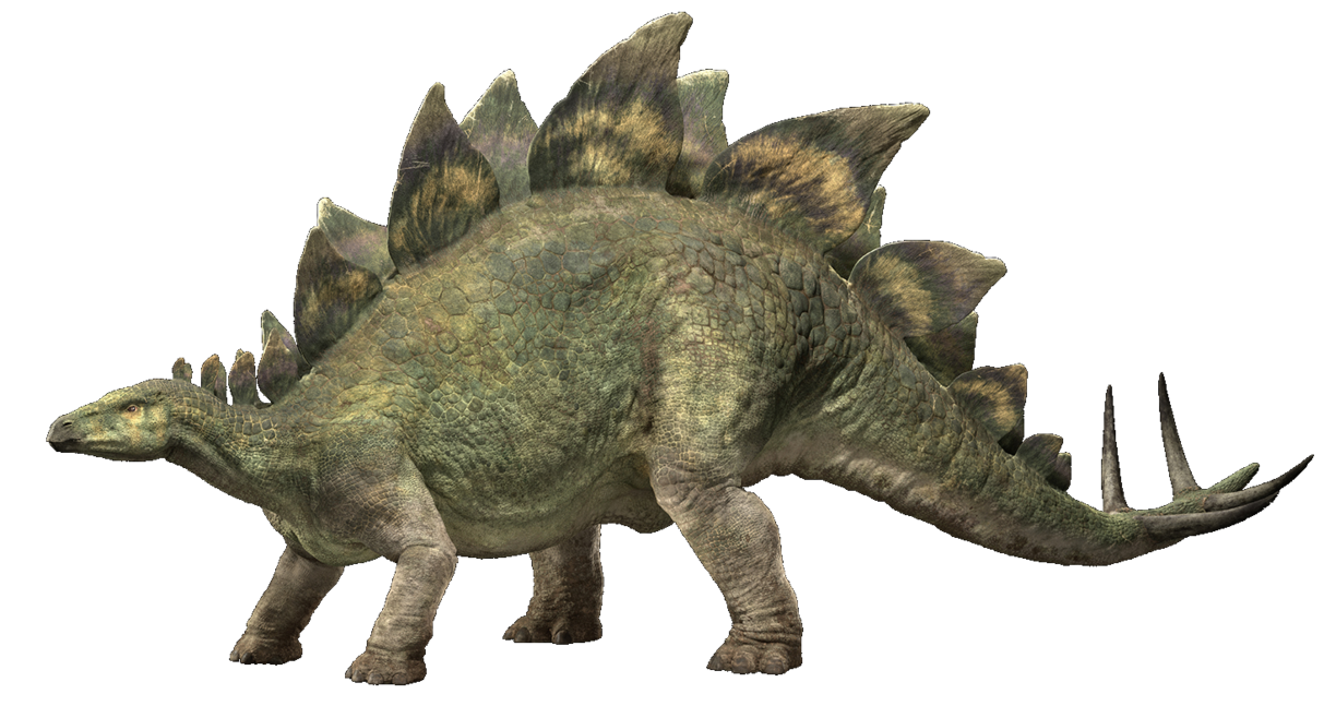 Stegosaurus, Jurassic Park Wiki