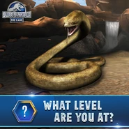 25158152 1549996628440900 5191816080635966569 n.png (503 KB)