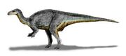 Camptosaurus-0.jpg