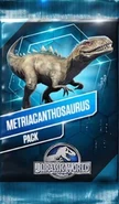 Old Metriacanthosaurus Pack