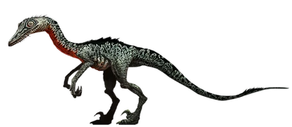 Troodon-0