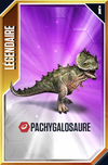 Pachygalosaurus