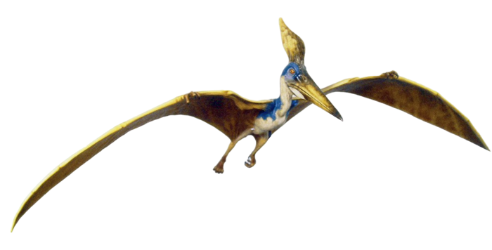 Pteranodon (The Lost World, Jurassic Park 3, Jurassic World)