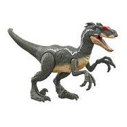 The new Epic Damage Velociraptor figure based on the males of the Jurassic Park III variant