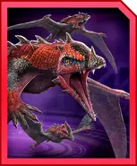 AnkylodactylusProfile.webp (71 KB)