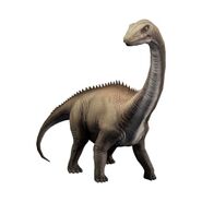 Diplodocus