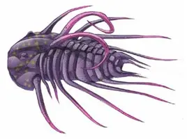 JPI Trilobite