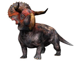 284?cb=20200920203405