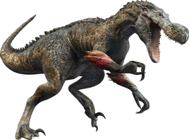 JWA PressKit Purrolyth