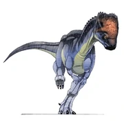 Ornatholus.webp
