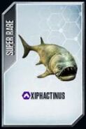 Xiphactinus.jpg (13 kB)