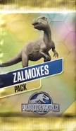 Zalmoxes Pack