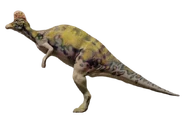 Corythosaurus