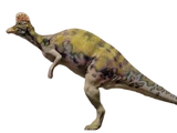 Corythosaurus