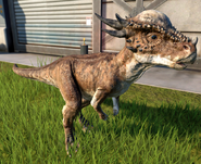 Stygimoloch