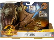 Pteranodon