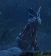 236408c219f949e5ee38154499c2c7e9.gif (998 kB)
