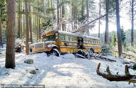 Blue's bus