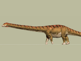 Patagotitan