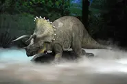 Triceratops