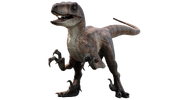 Jurassic park velociraptor 2 by camo flauge dcsll3m-fullview