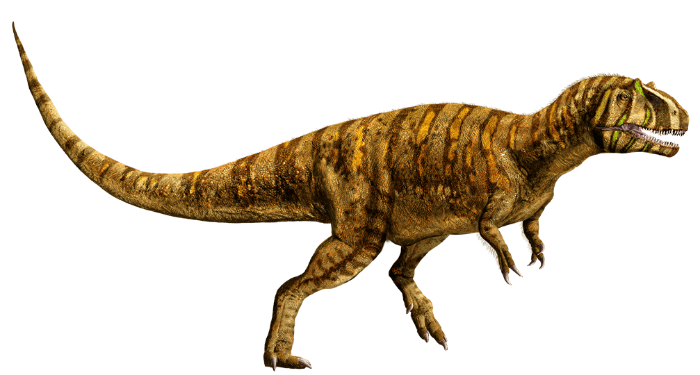 メトリアカントサウルス ジュラシック パーク Wiki Fandom