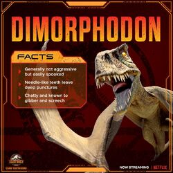 Pterodactyls, Pteranodons and Dimorphodons - The Ivory Bill