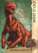 2001 Jurassic Park III 3-D 68 Muttaburrasaurus front.jpg (80 КБ) На коллекционных карточках Парка Юрского периода 3